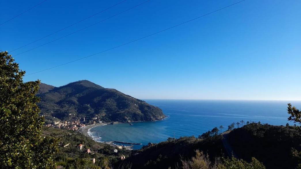 La Calla Rossa Levanto Buitenkant foto